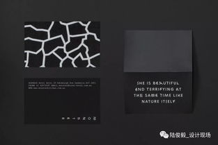 创意绽放 AGI国际平面设计联盟2017新会员作品鉴赏